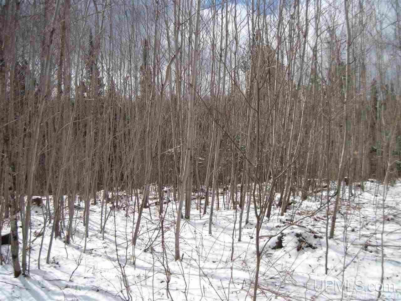 3475 Rd Iron River Iron River, MI 49935 - Photo 15 of 15