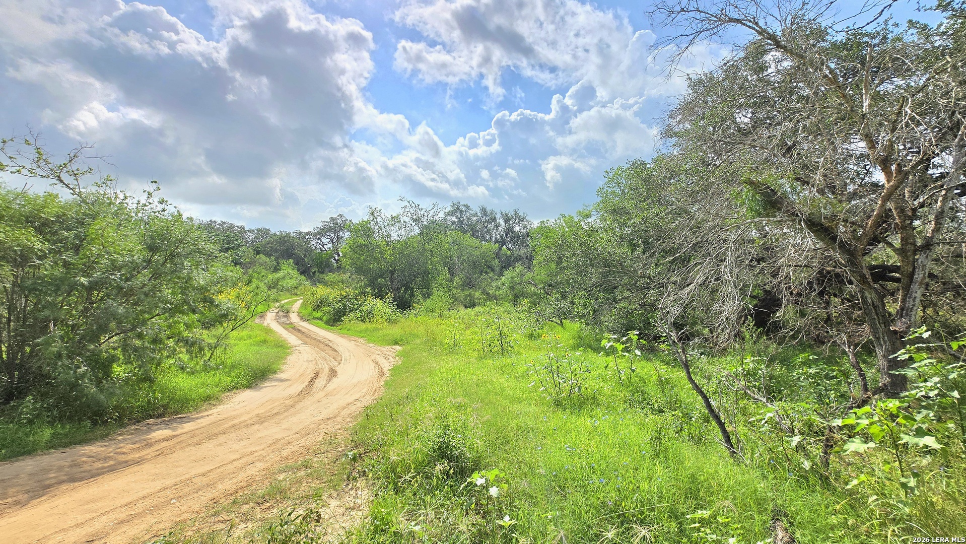 289 Zigmond Road Poteet, TX 78065 - Photo 1 of 37