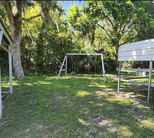 a view of a park with a tree