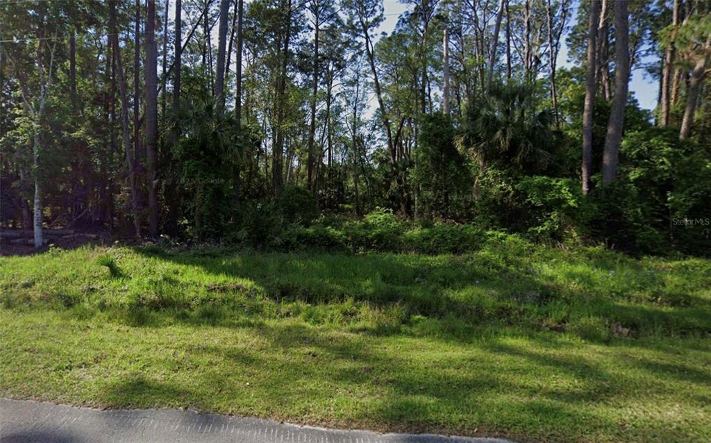 731 Paradise Boulevard Georgetown, FL 32139 - Photo 2 of 15 a view of backyard with green space