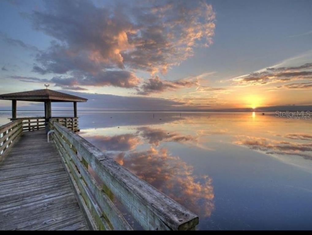731 Paradise Boulevard Georgetown, FL 32139 - Photo 3 of 15 a view of outside space with swimming pool