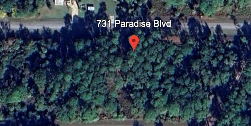 731 Paradise Boulevard Georgetown, FL 32139 - Photo 5 of 15 a view of entryway