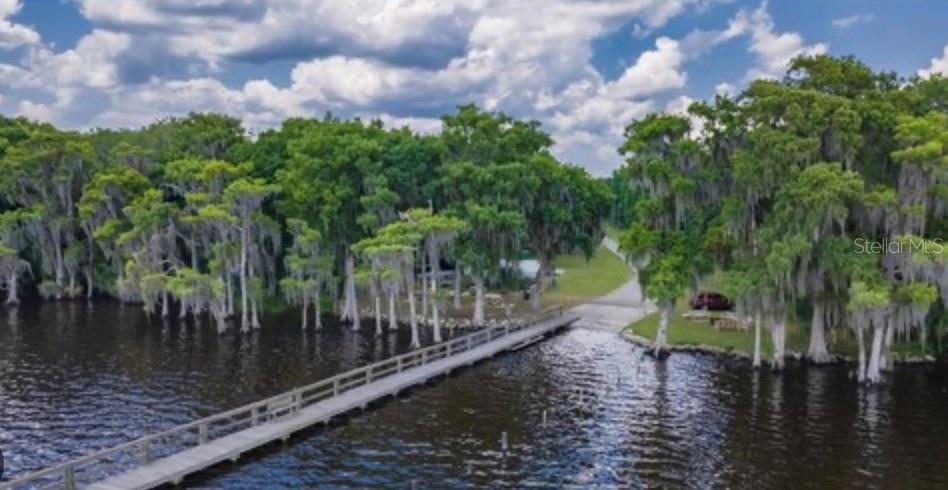 731 Paradise Boulevard Georgetown, FL 32139 - Photo 6 of 15 a view of a lake with large trees