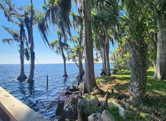 a view of backyard of a house