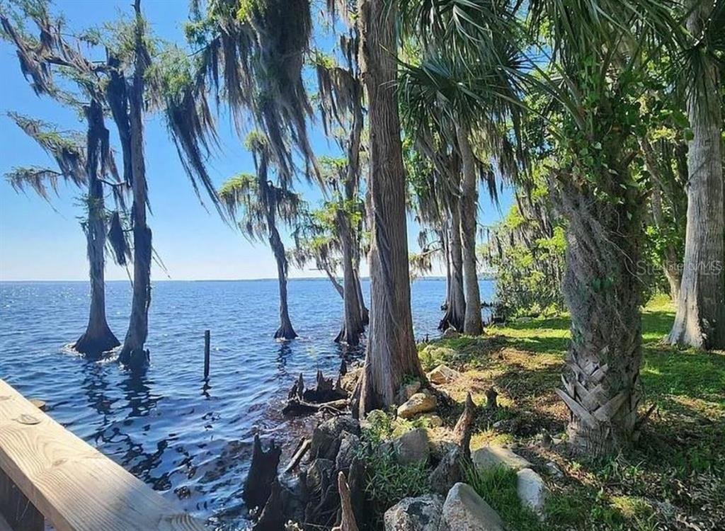 731 Paradise Boulevard Georgetown, FL 32139 - Photo 8 of 15 a view of backyard of a house