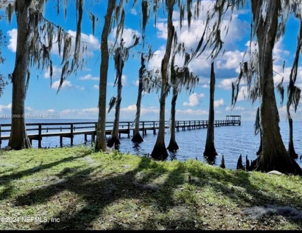 731 Paradise Boulevard Georgetown, FL 32139 - Photo 9 of 15 a view of a garden with large tree