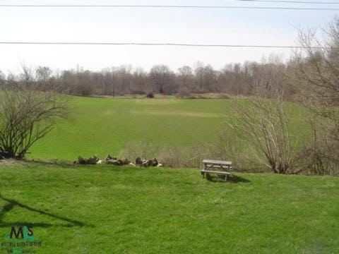 21700 Chester Road Ray, MI 48096 - Photo 4 of 9 679161-3.JPG