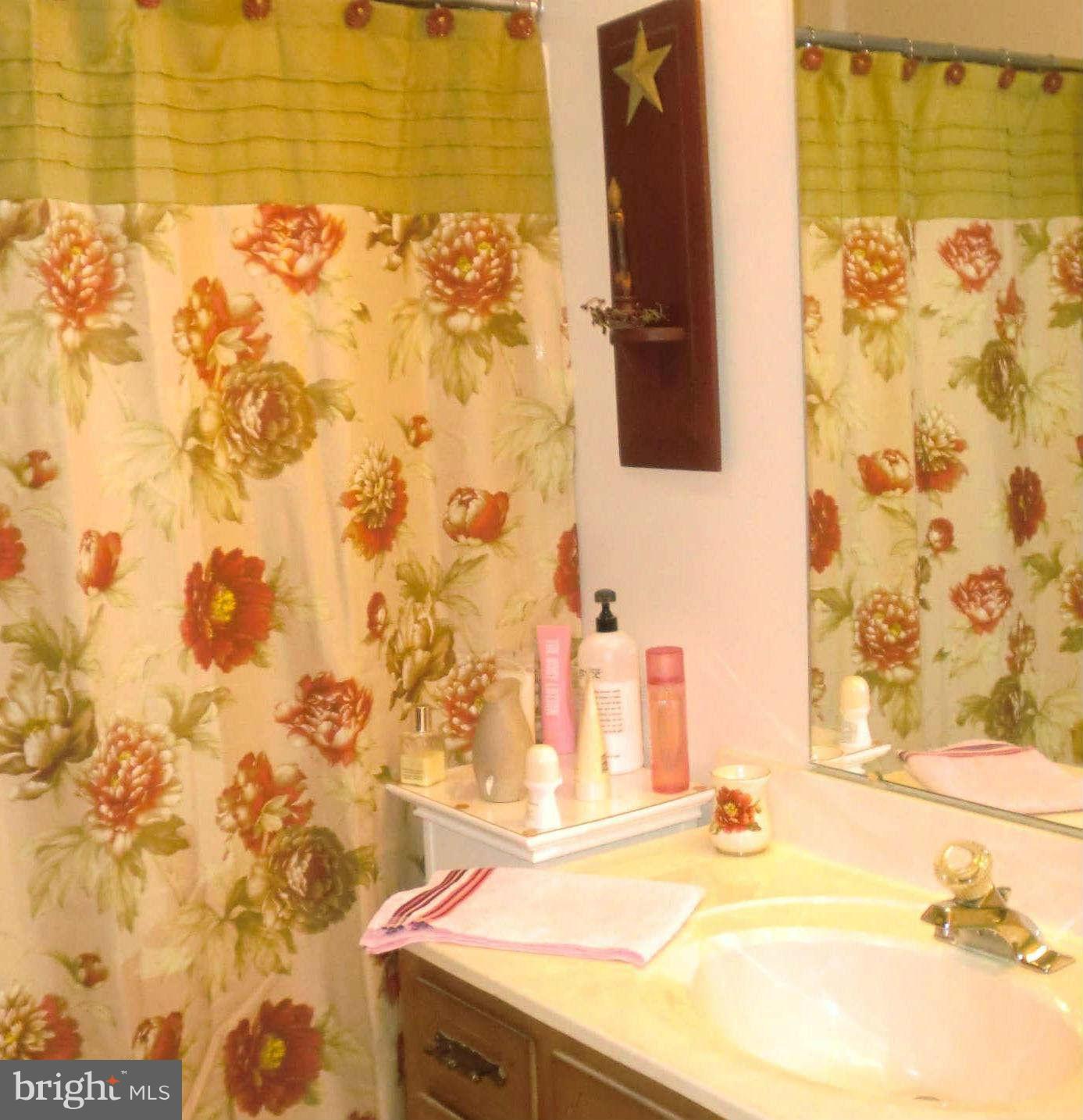 31455 Clarks Wharf Road Trappe, MD 21673 - Photo 9 of 15 Bath