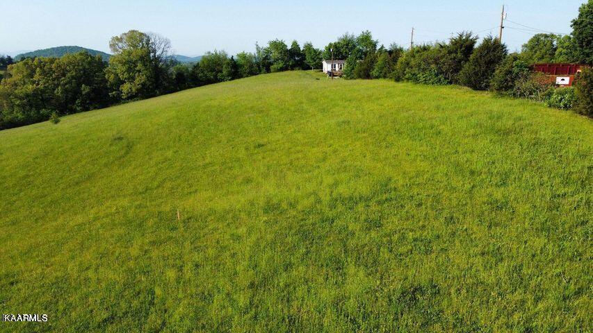 Lot 1 Twin View Lane Rutledge, TN 37861 - Photo 6 of 9 20220506163648321108000000-o