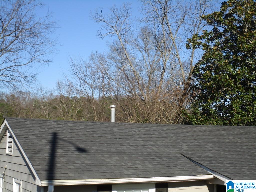 641 85th Street South Birmingham, AL 35206 - Photo 3 of 6