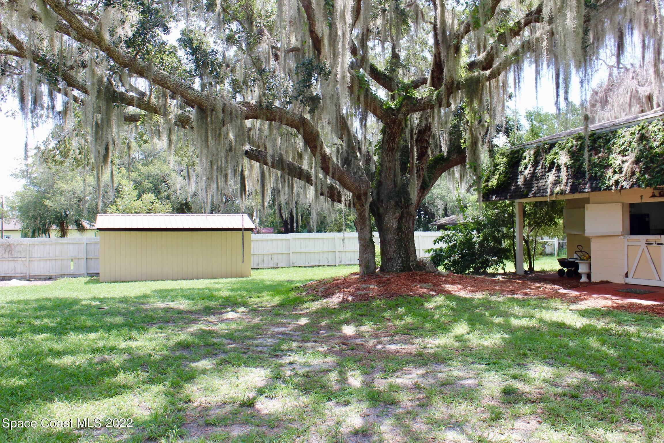 3665 Burkholm Road Mims, FL 32754 - Photo 58 of 62 a view of backyard with tree
