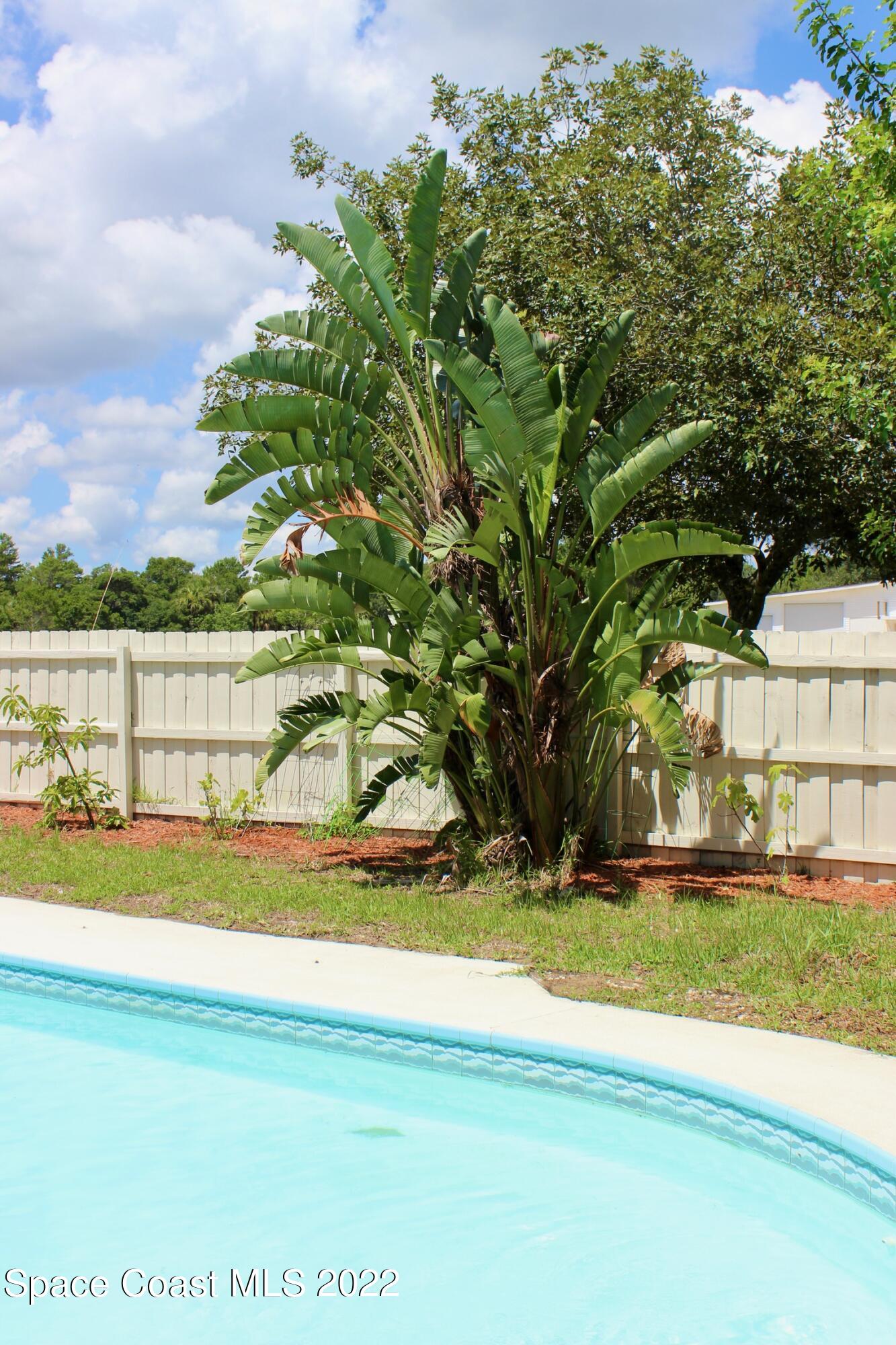 3665 Burkholm Road Mims, FL 32754 - Photo 59 of 62 a view of yard with swimming pool and green space