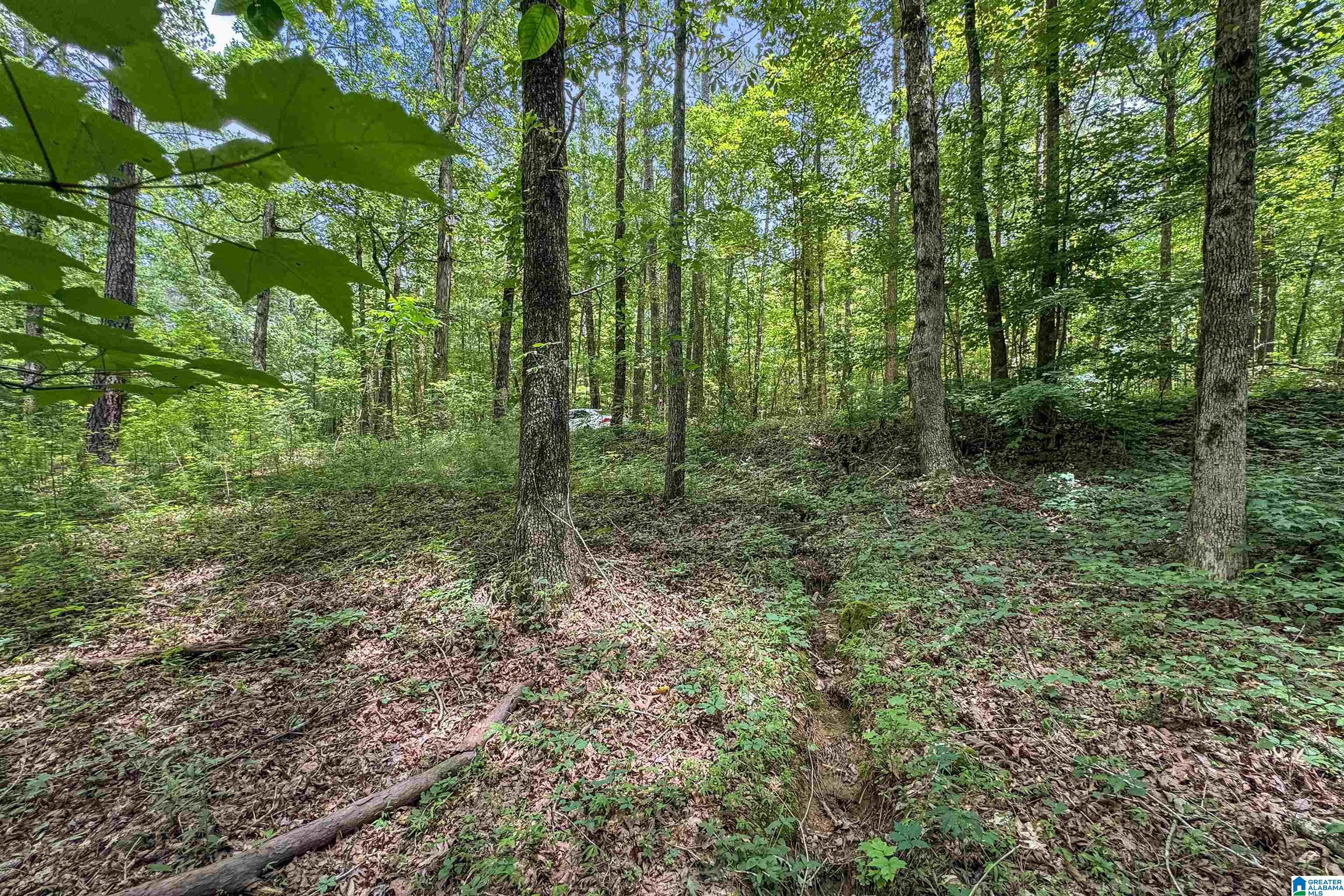 0 Red Oak Circle Helena, AL 35080 - Photo 19 of 21