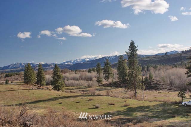 0 East Chewuch Road Winthrop, WA 98862 - Photo 23 of 25 Gallery Image 23