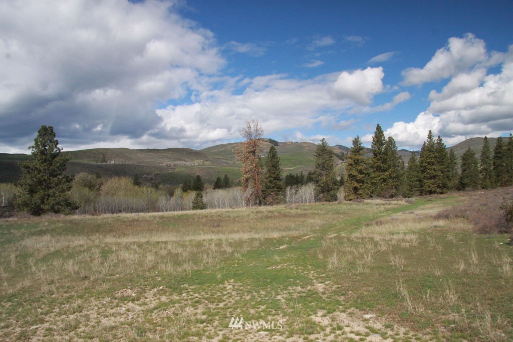 0 East Chewuch Road Winthrop, WA 98862 - Photo 5 of 25 Gallery Image 5