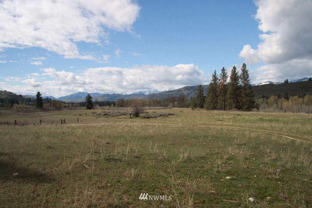 0 East Chewuch Road Winthrop, WA 98862 - Photo 6 of 25 Gallery Image 6