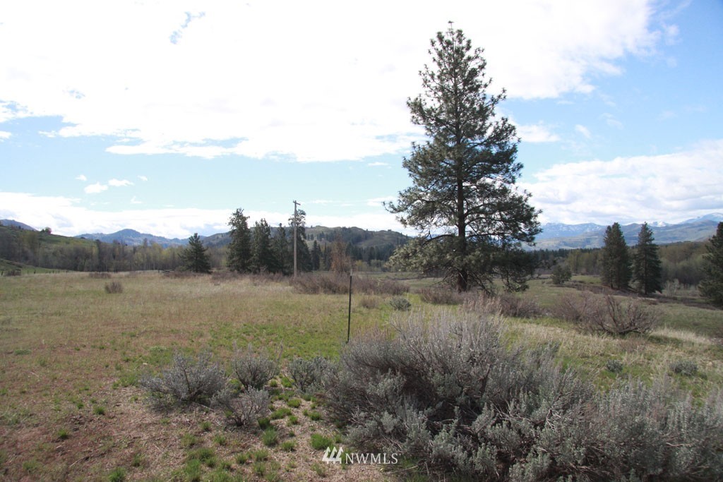 0 East Chewuch Road Winthrop, WA 98862 - Photo 7 of 25 Gallery Image 7