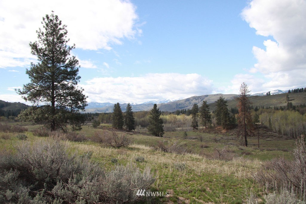 0 East Chewuch Road Winthrop, WA 98862 - Photo 8 of 25 Gallery Image 8