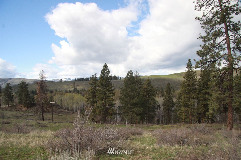 0 East Chewuch Road Winthrop, WA 98862 - Photo 9 of 25 Gallery Image 9