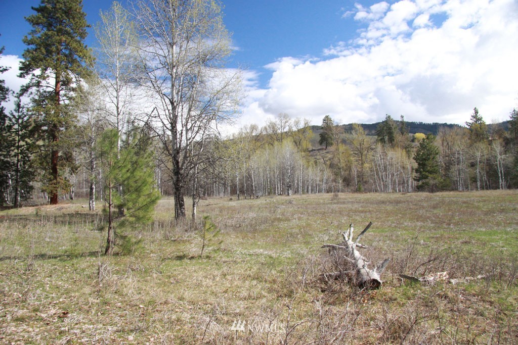 0 East Chewuch Road Winthrop, WA 98862 - Photo 10 of 25 Gallery Image 10