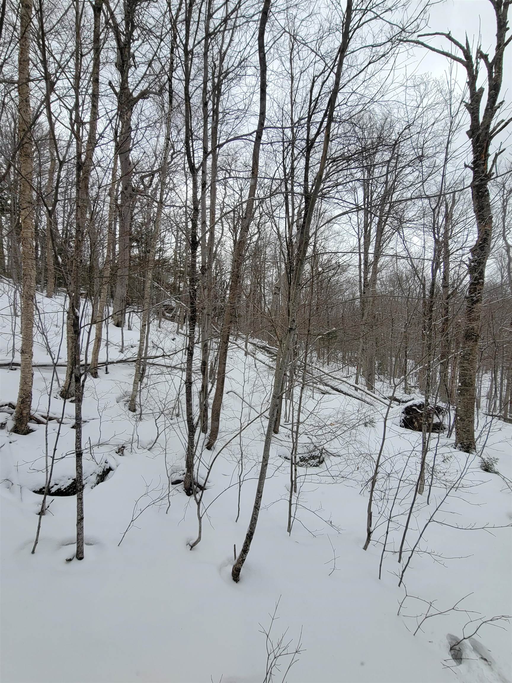 845 Bailey Hill Road Readsboro, VT 05350 - Photo 11 of 38