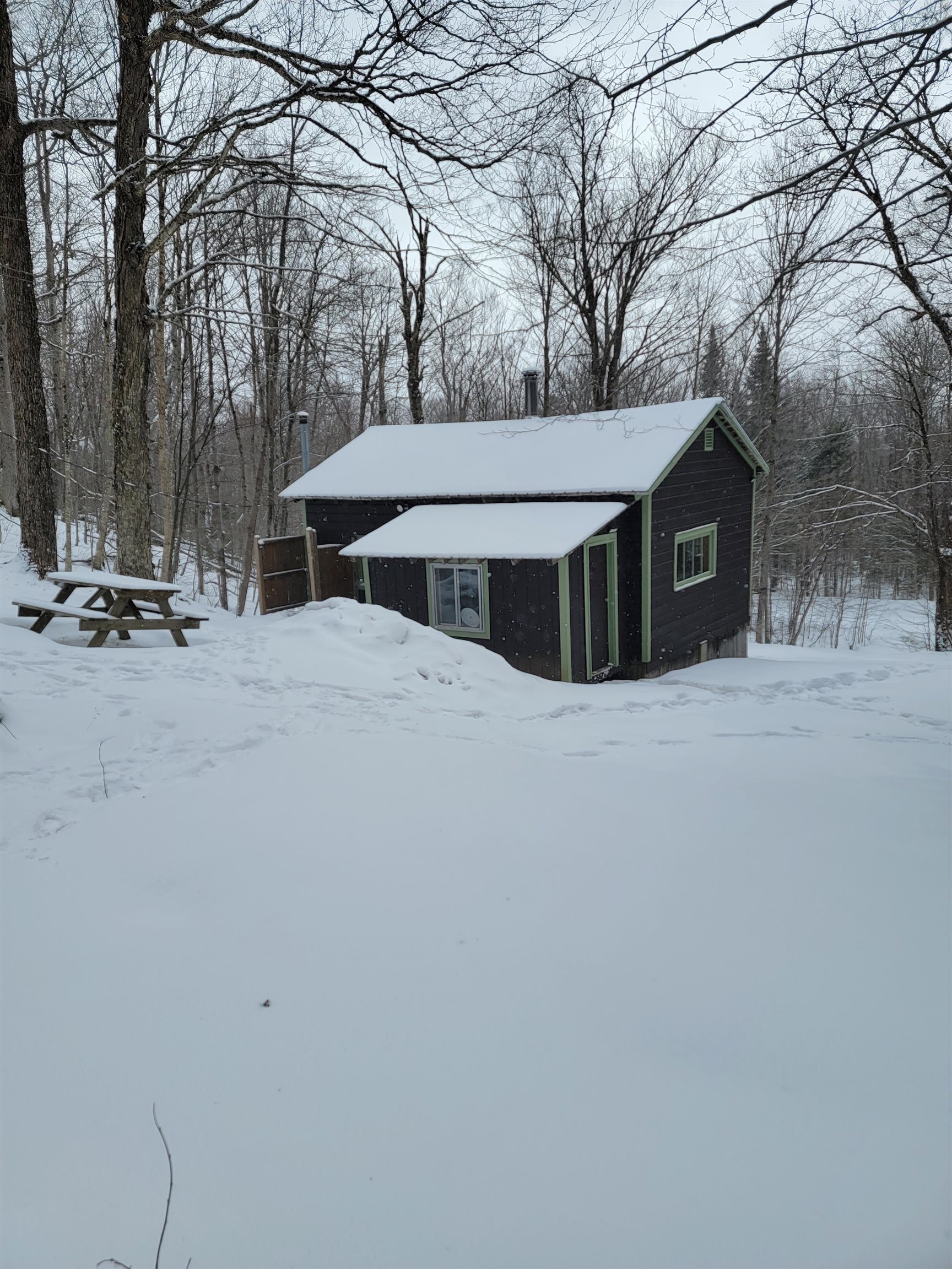 845 Bailey Hill Road Readsboro, VT 05350 - Photo 2 of 38