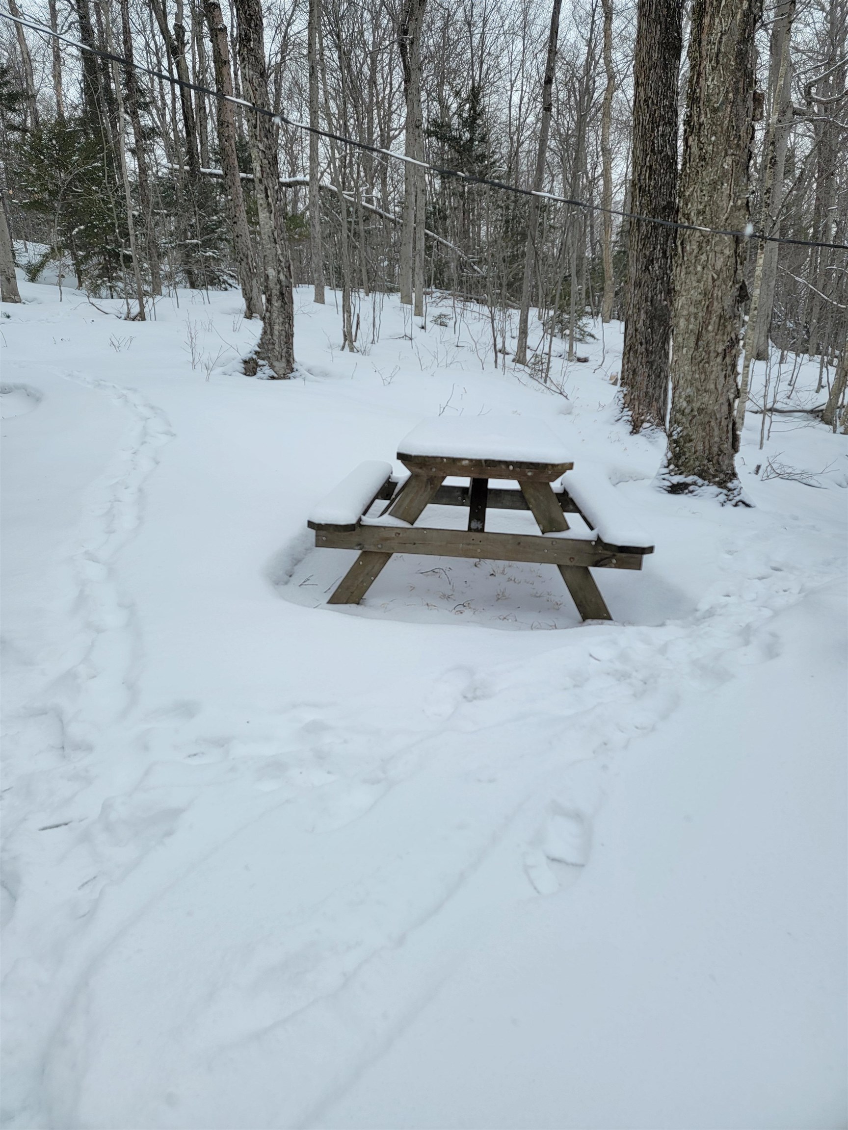 845 Bailey Hill Road Readsboro, VT 05350 - Photo 24 of 38