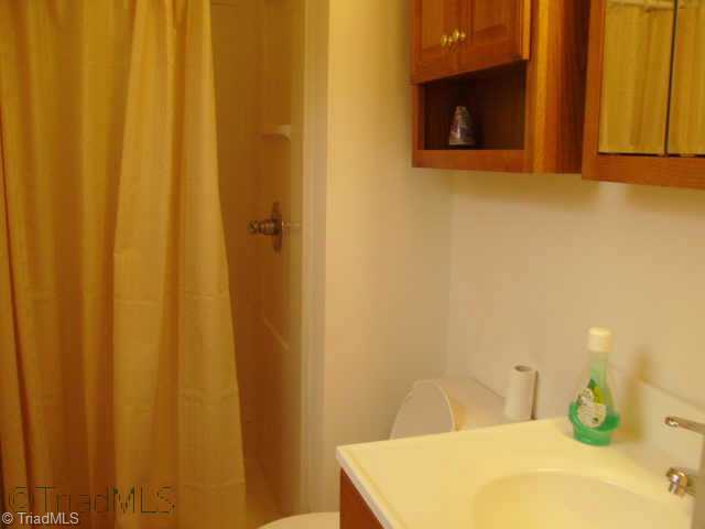 744 Laverton Lane Rural Hall, NC 27045 - Photo 6 of 9 Other. Mst Bathroom
