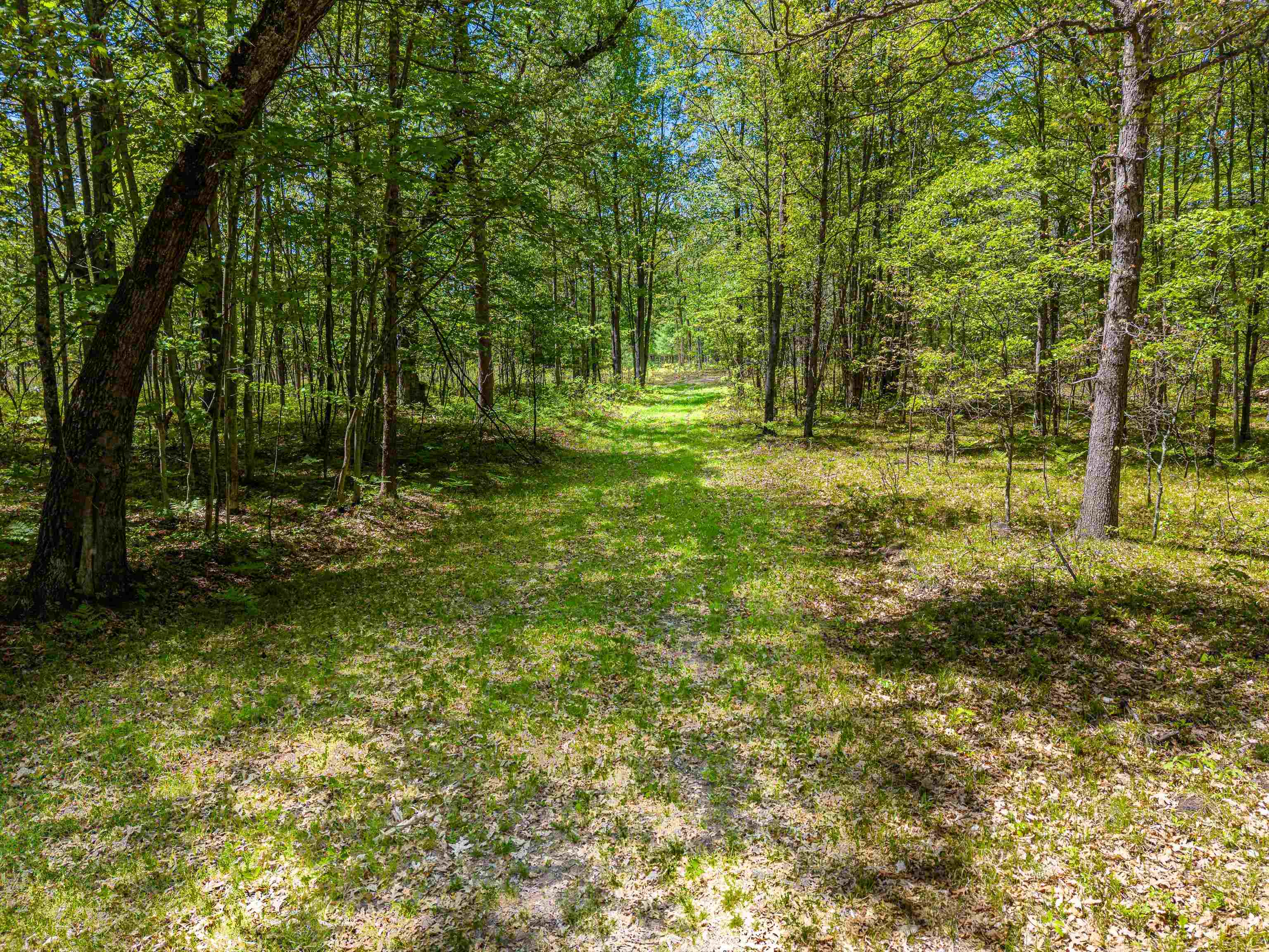 240 Hilts Road Gladwin, MI 48624 - Photo 68 of 97
