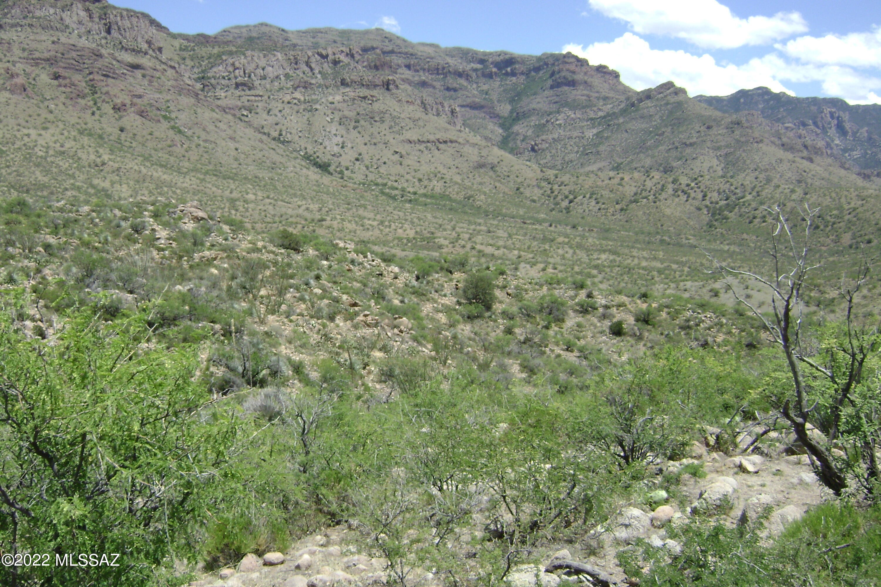 20894 South River Road Mammoth, AZ 85618 - Photo 13 of 50 Gallery Image 13