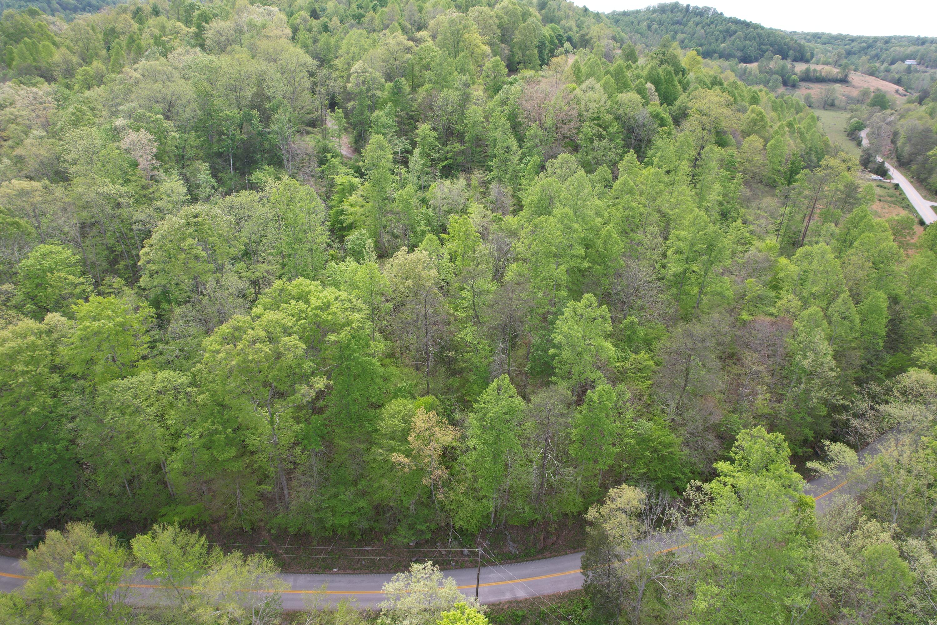 999 Big Cave Road Livingston, KY 40445 - Photo 9 of 13 DJI_0835