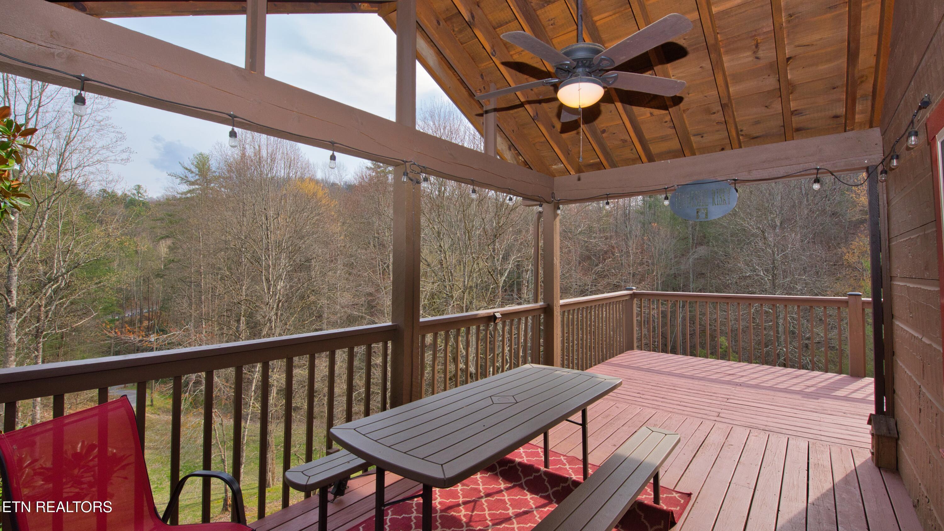 3209 Cristobal Way Sevierville, TN 37862 - Photo 14 of 30 SL8_8423