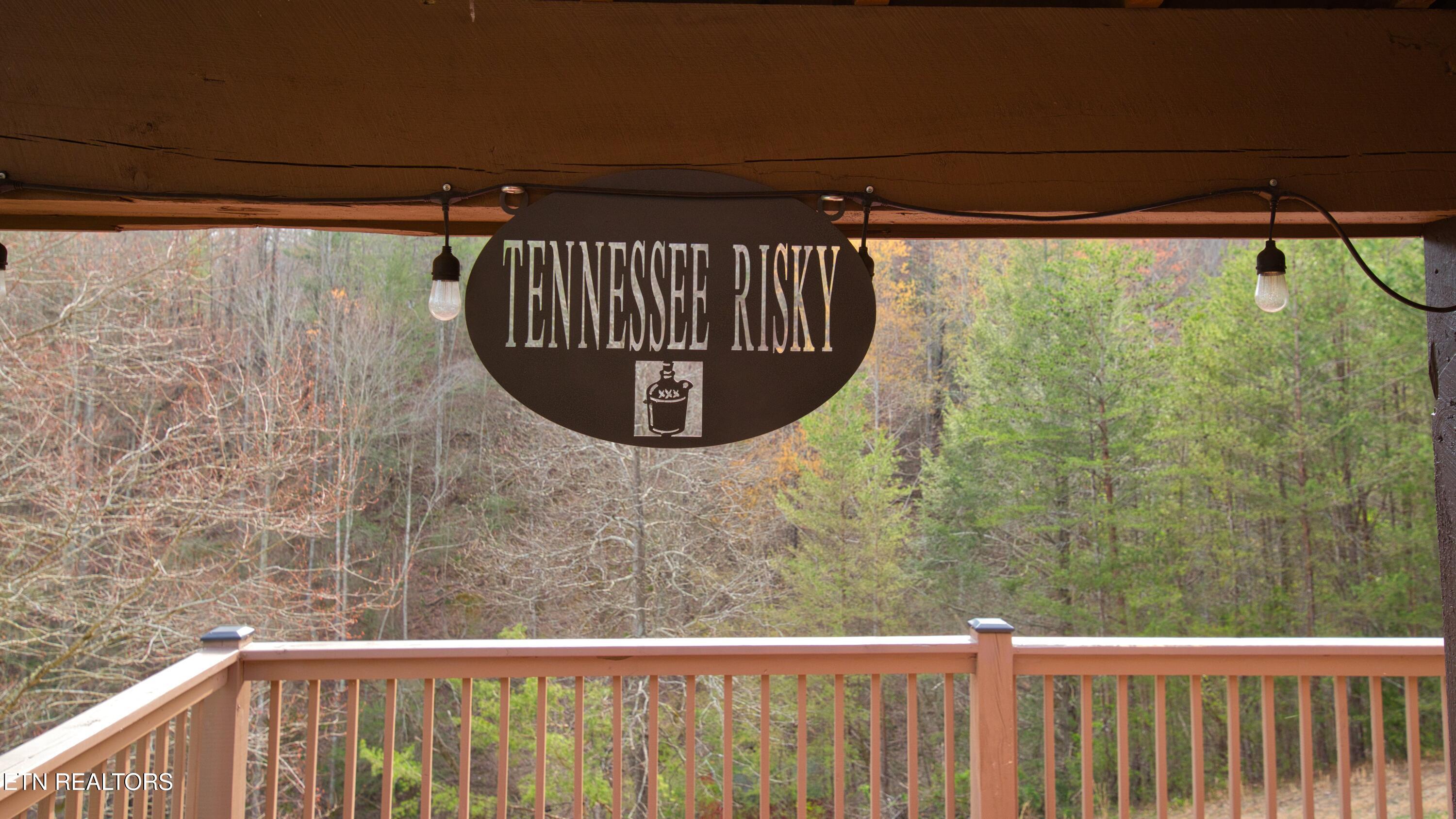 3209 Cristobal Way Sevierville, TN 37862 - Photo 16 of 30 SL8_8431