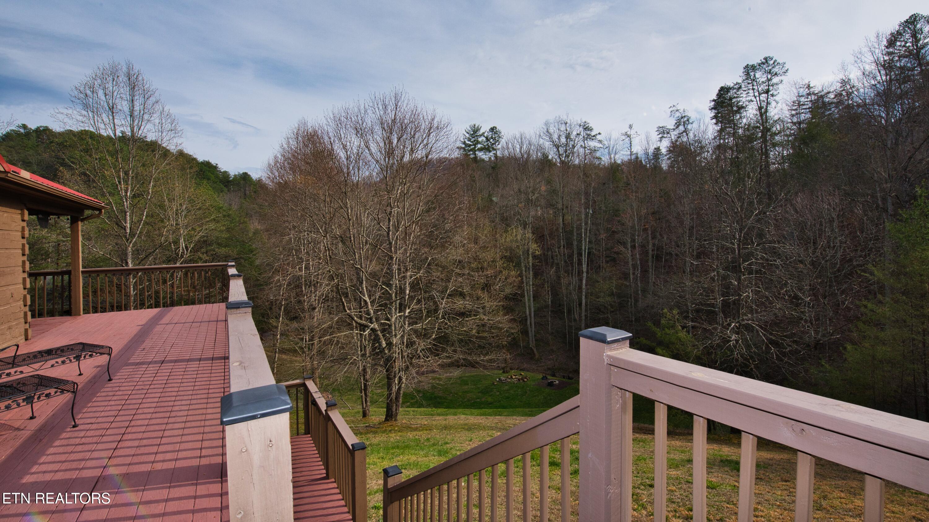 3209 Cristobal Way Sevierville, TN 37862 - Photo 18 of 30 SL8_8434