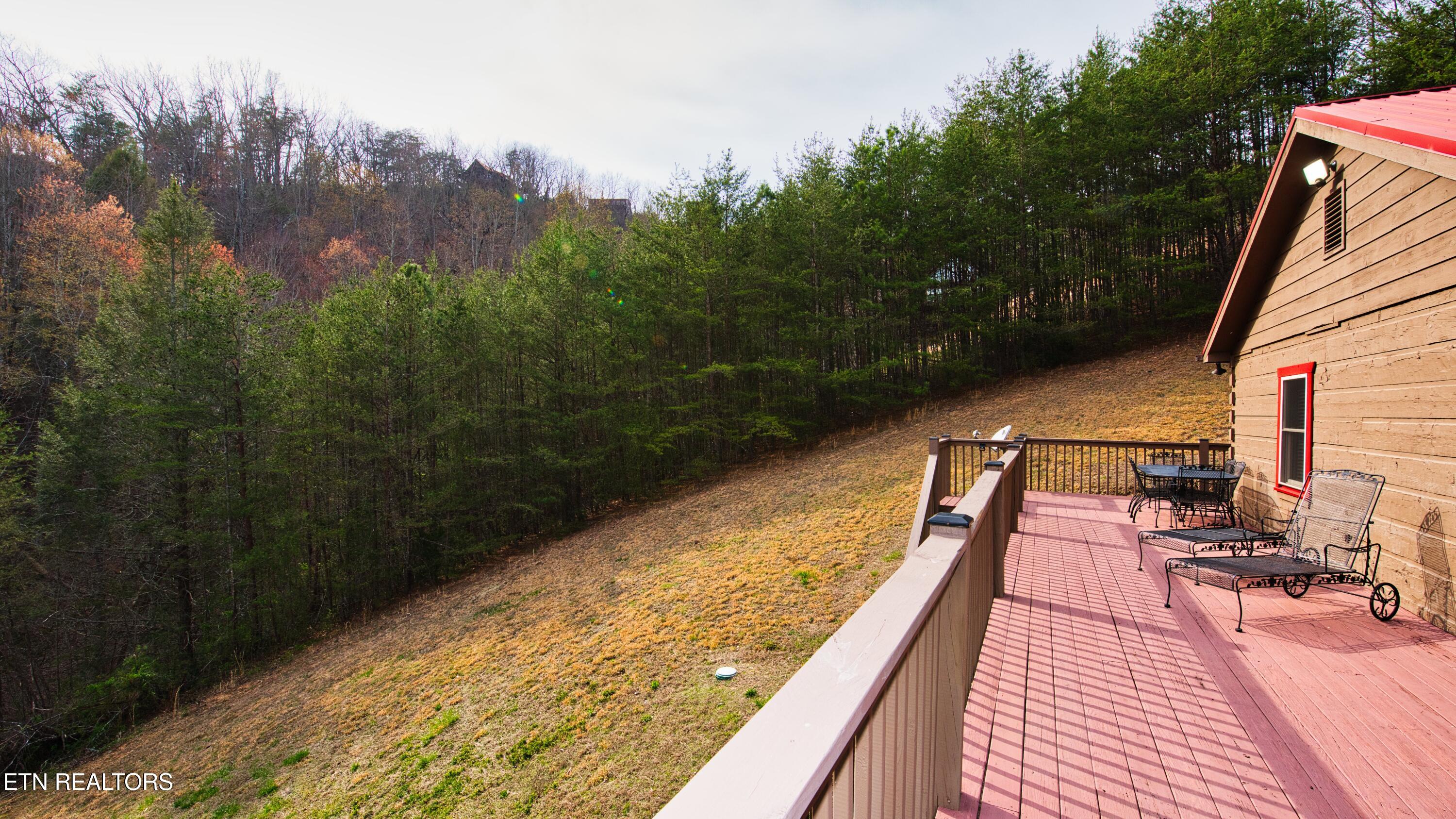 3209 Cristobal Way Sevierville, TN 37862 - Photo 19 of 30 SL8_8435