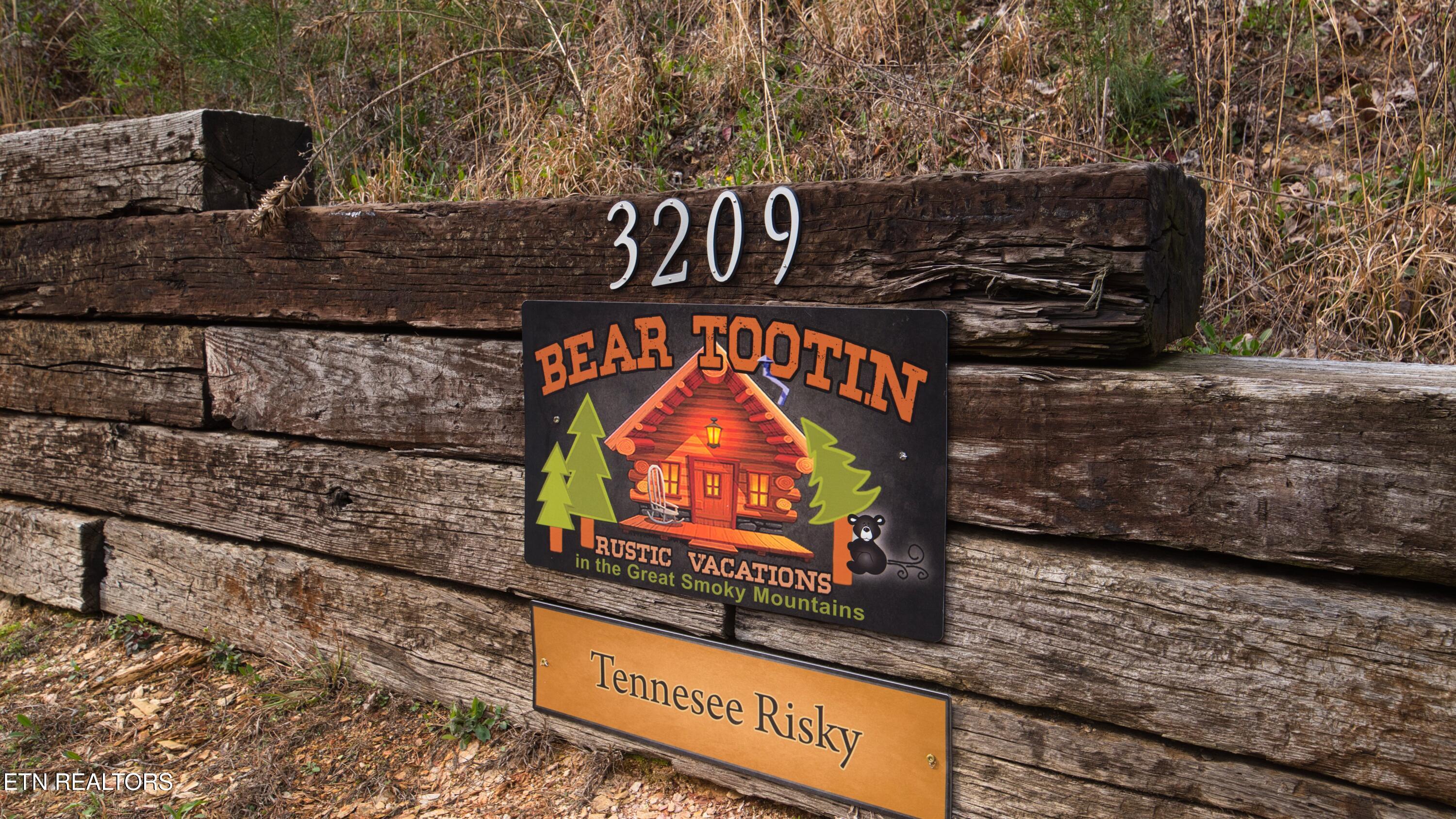 3209 Cristobal Way Sevierville, TN 37862 - Photo 28 of 30 SL8_8444