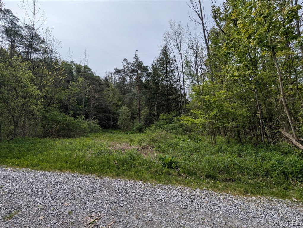 34 Treehaven Road Wethersfield, NY 14066 - Photo 2 of 7