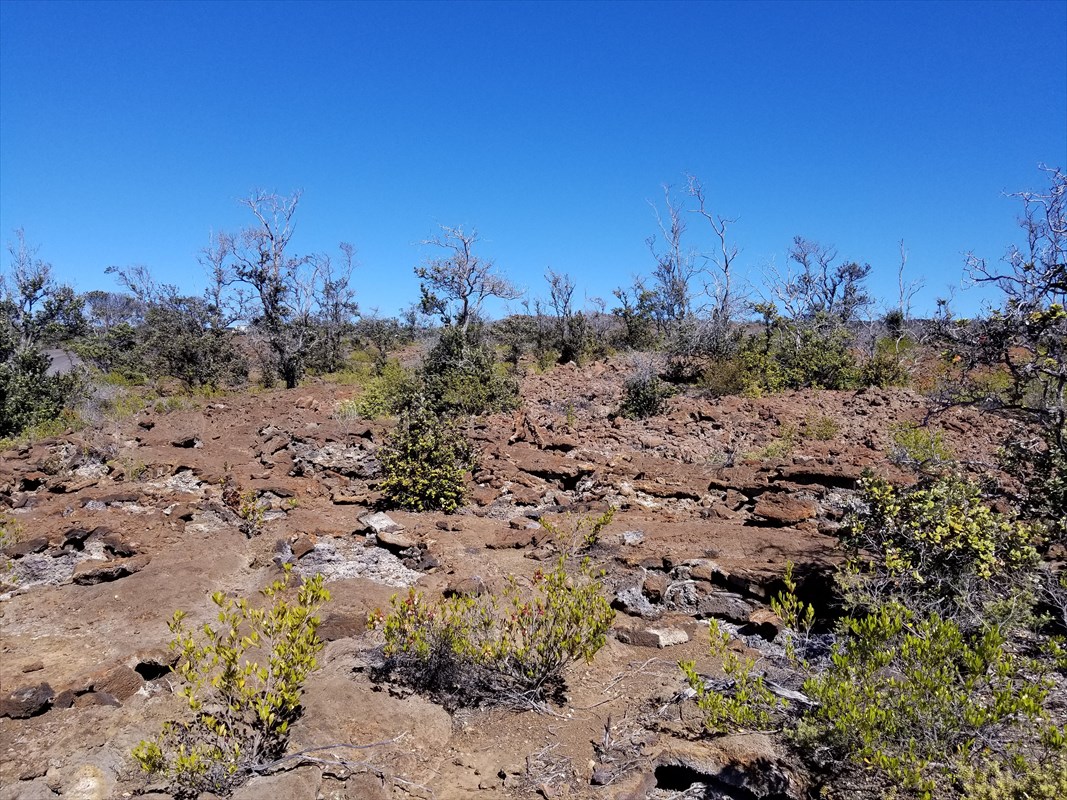 92-8506 Lot 12 Liliana Lane Ocean View, HI 96704 - Photo 4 of 5 a view of a large area with green field