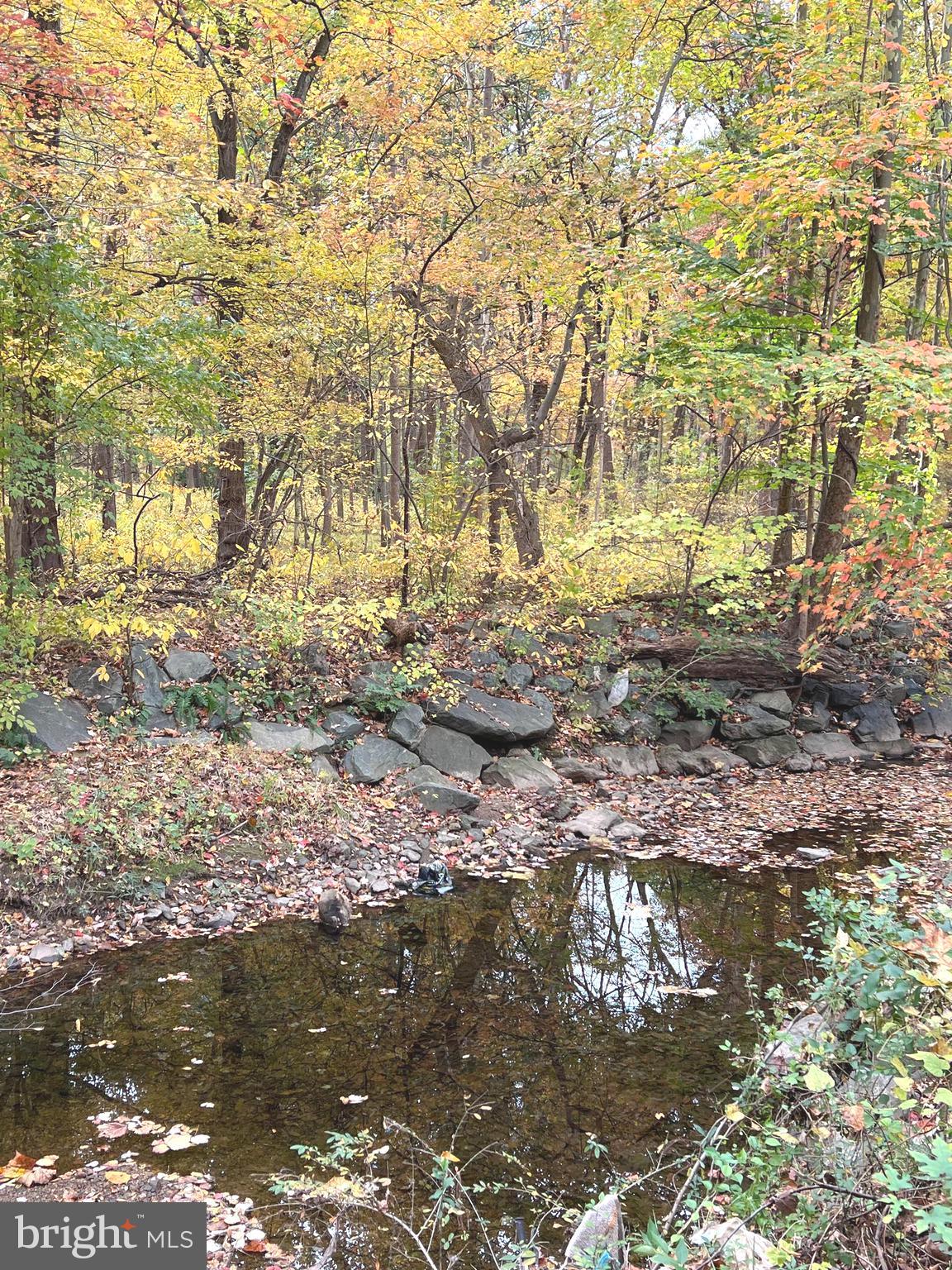 1132 West Side Drive, Unit 32B Gaithersburg, MD 20878 - Photo 51 of 51 a backyard of a house with a yard