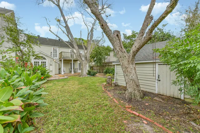 a tree in the backyard of a house