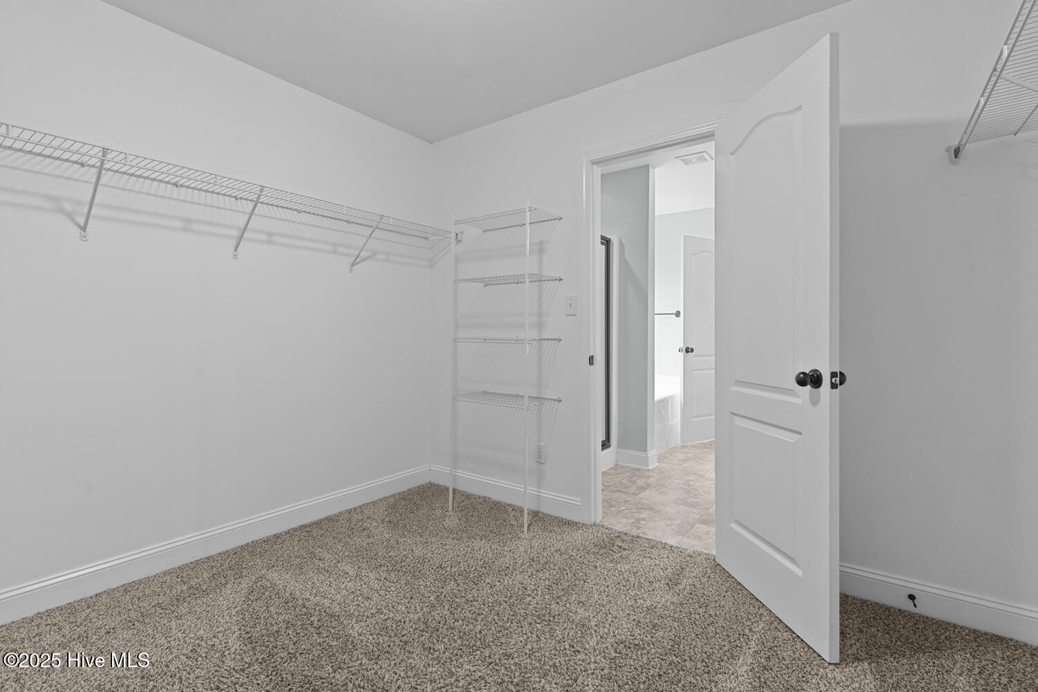 302 First Post Road Jacksonville, NC 28546 - Photo 34 of 38 Walk In Closet