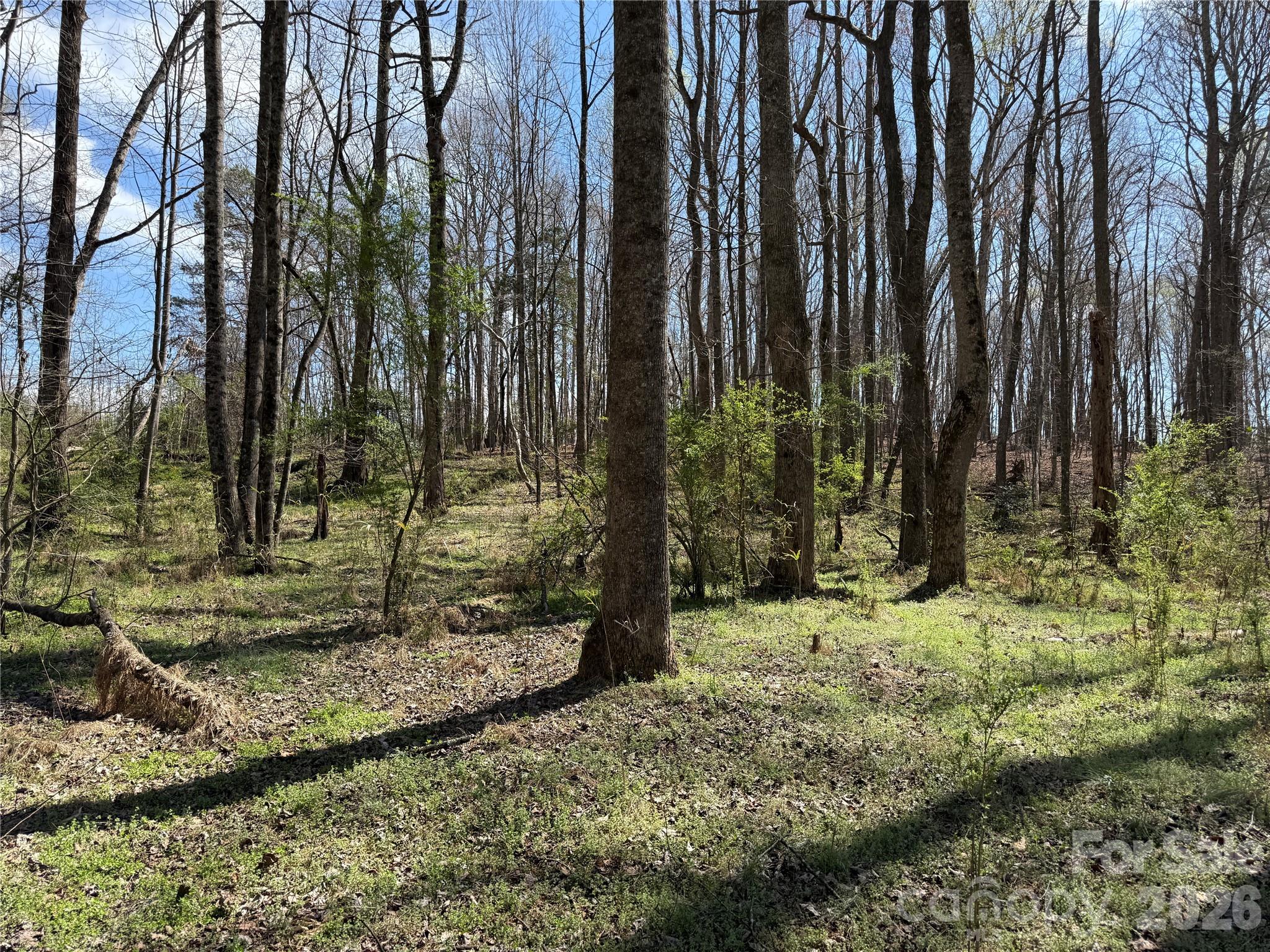 0 Davids Chapel Church Road Vale, NC 28168 - Photo 11 of 26 a view of a yard with trees