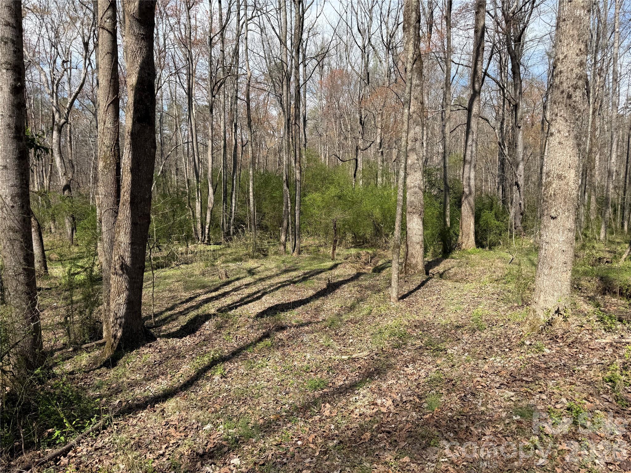 0 Davids Chapel Church Road Vale, NC 28168 - Photo 20 of 26 a view of a backyard with large trees