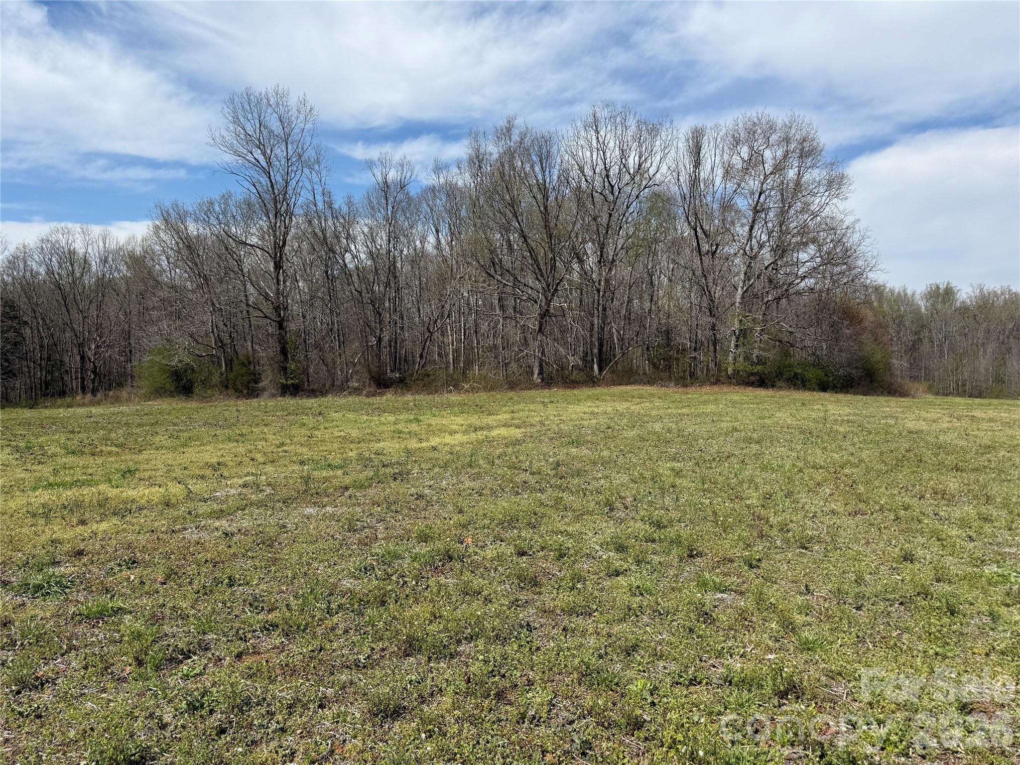 0 Davids Chapel Church Road Vale, NC 28168 - Photo 5 of 26 a view of a field with trees in the background