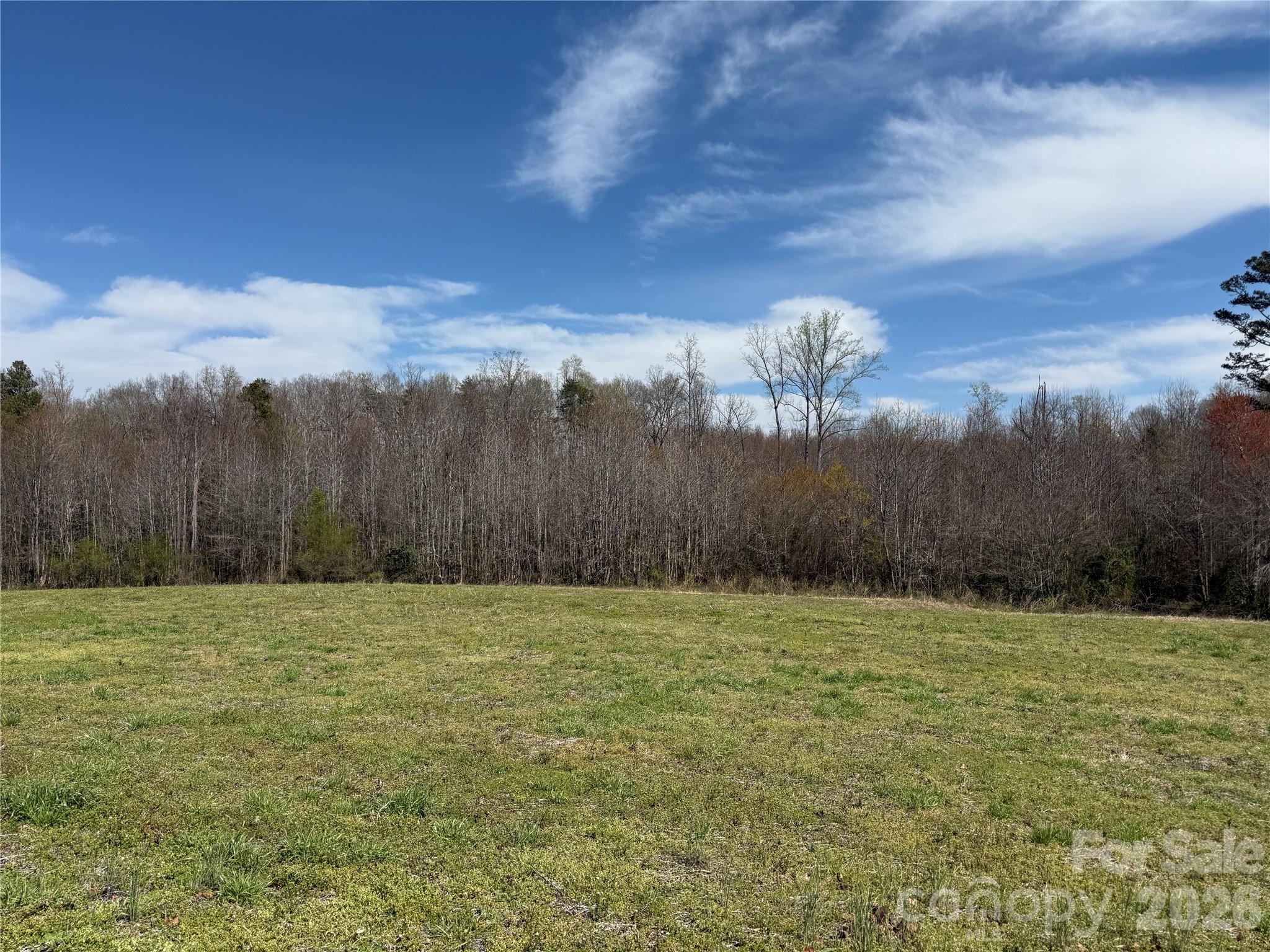 0 Davids Chapel Church Road Vale, NC 28168 - Photo 10 of 26 a view of a with large trees