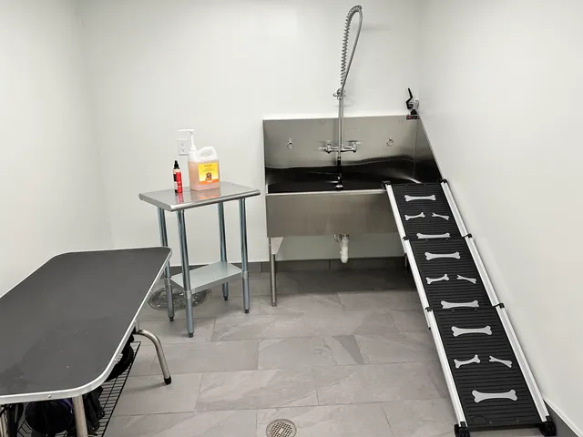 $1,649 | 409 Elm Street, Unit 315, Manchester, NH 03101