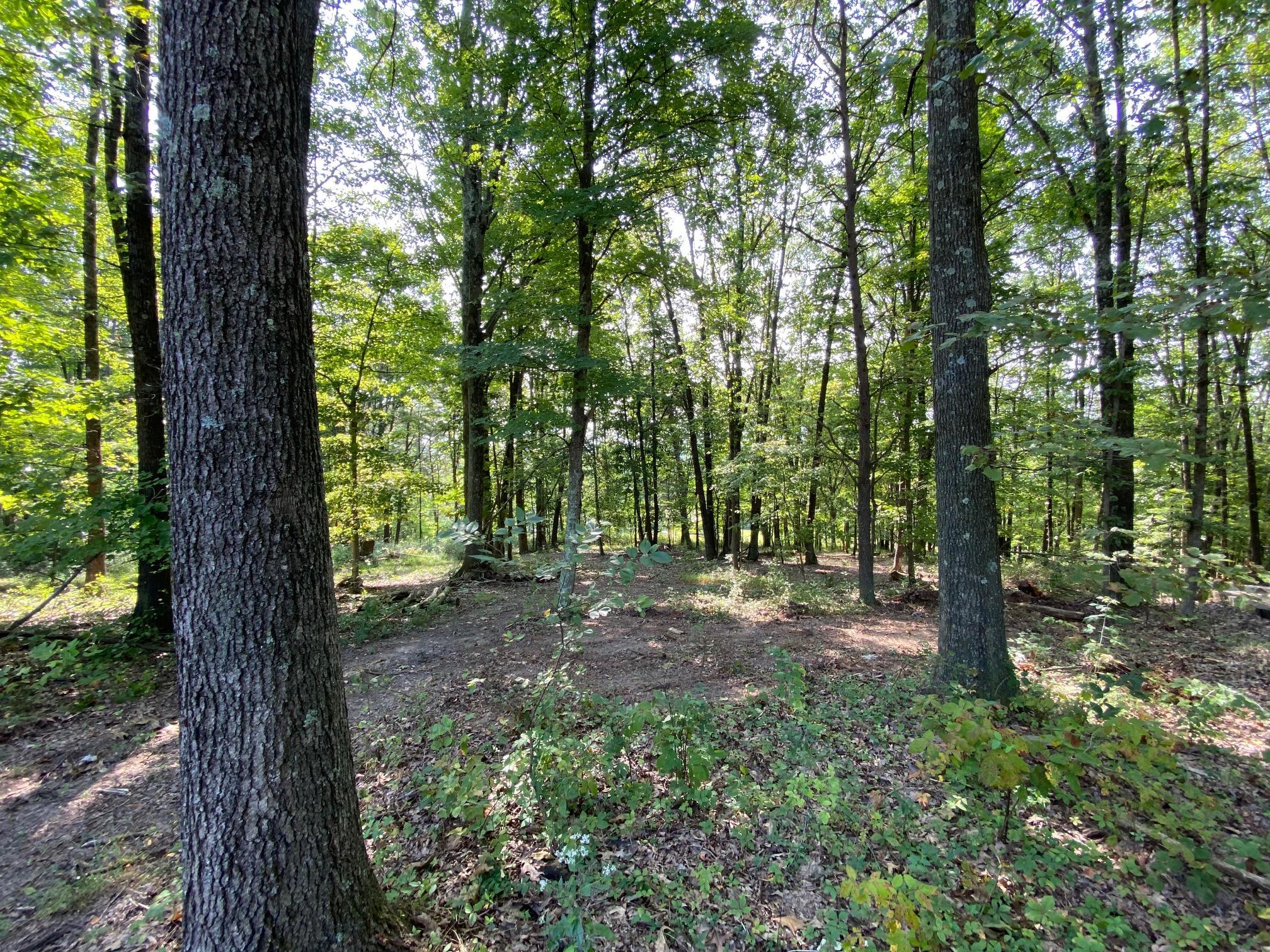 15835 Morris Road Logan, OH 43138 - Photo 36 of 36 Gallery Image 36