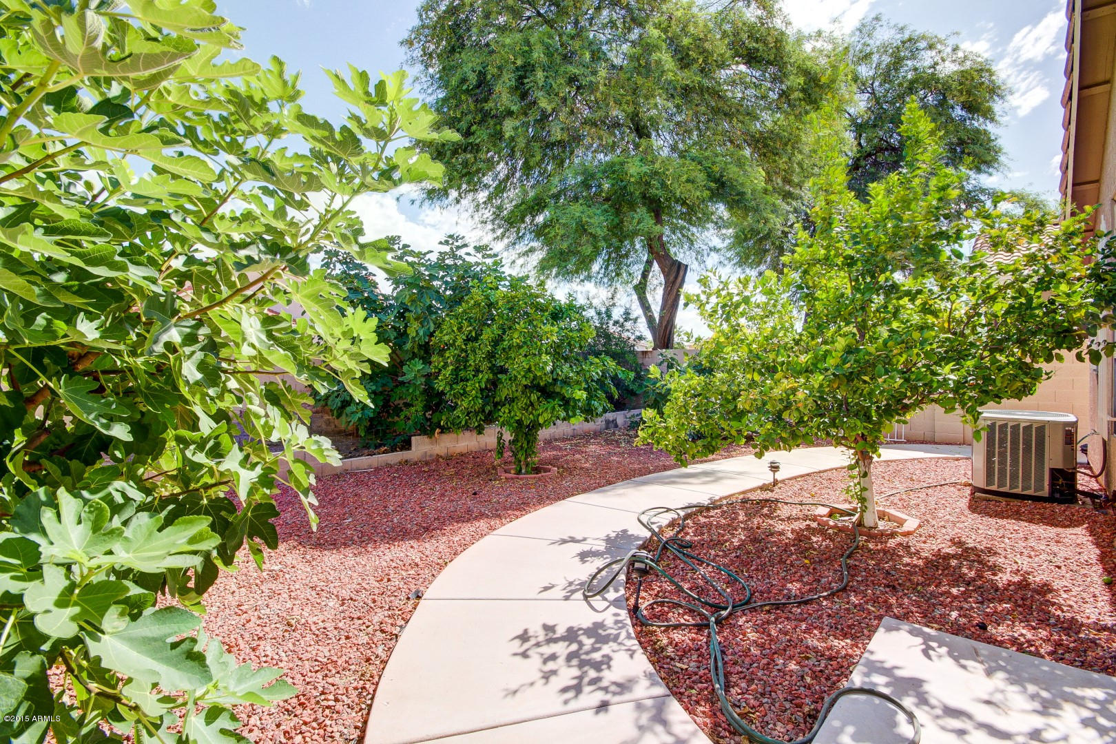 4125 West Charter Oak Road Phoenix, AZ 85029 - Photo 23 of 25 Charter Oak Rd (24)