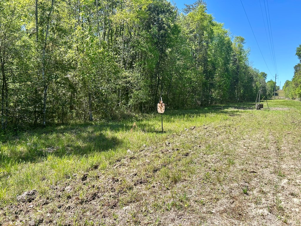 2500 Dean Church Road Ozark, AL 36360 - Photo 5 of 16