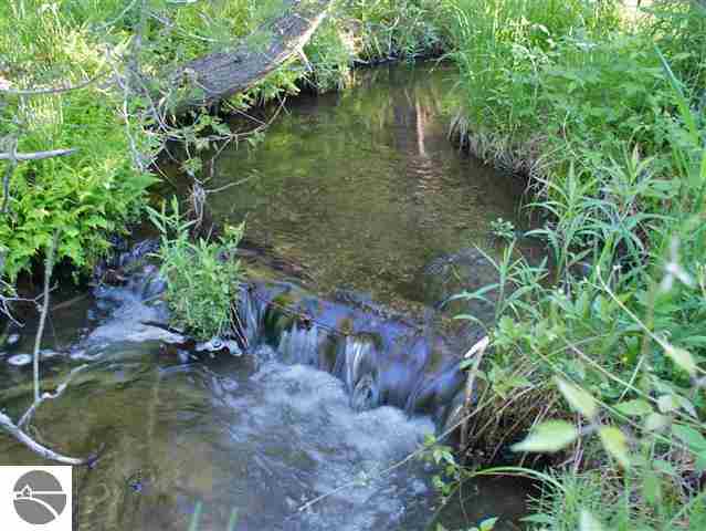 4950 South Schomberg Road Cedar, MI 49621 - Photo 13 of 35 1748123-12.JPG